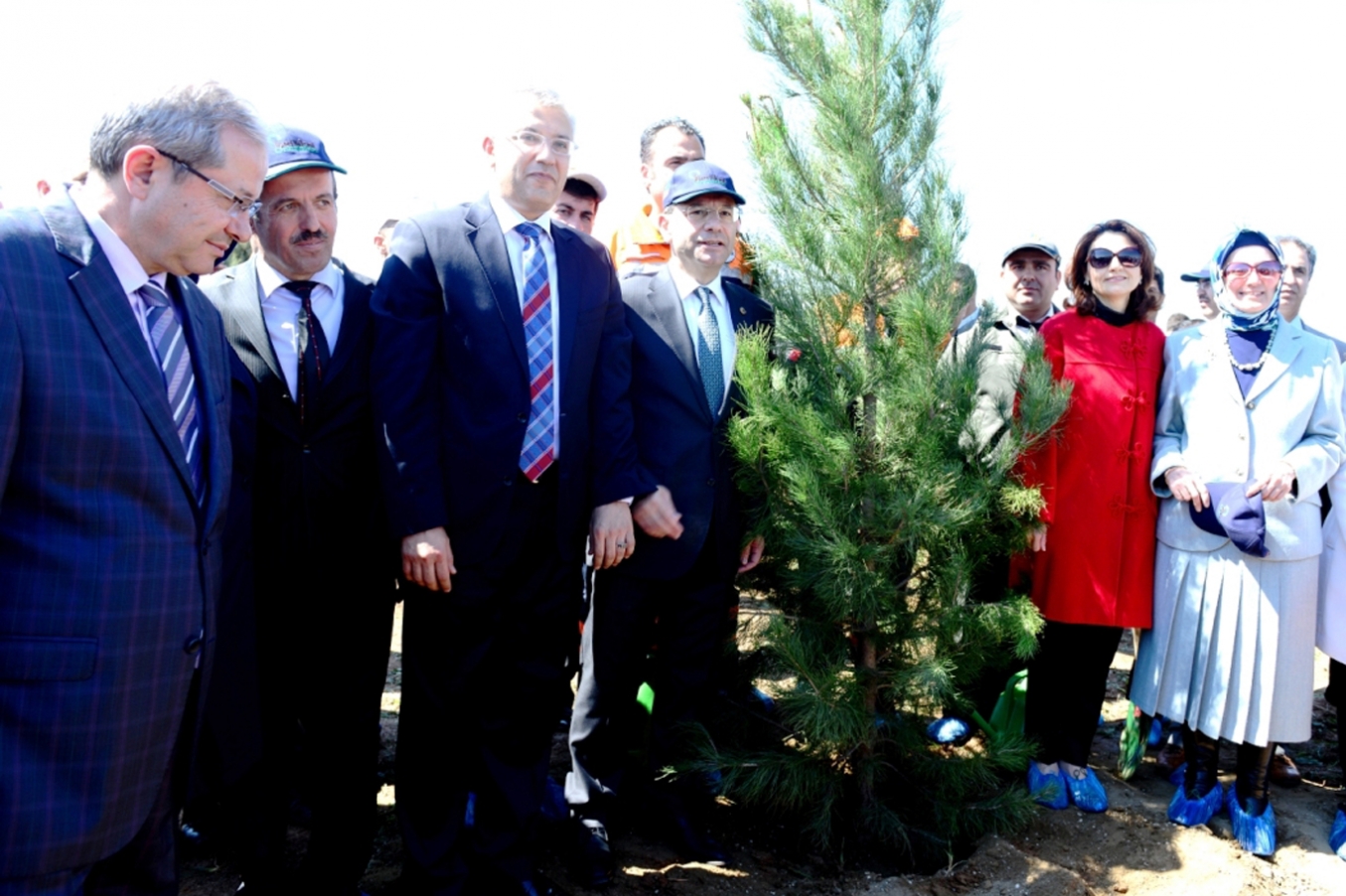 Diyarbakır’da Fidan ekimi yapıldı